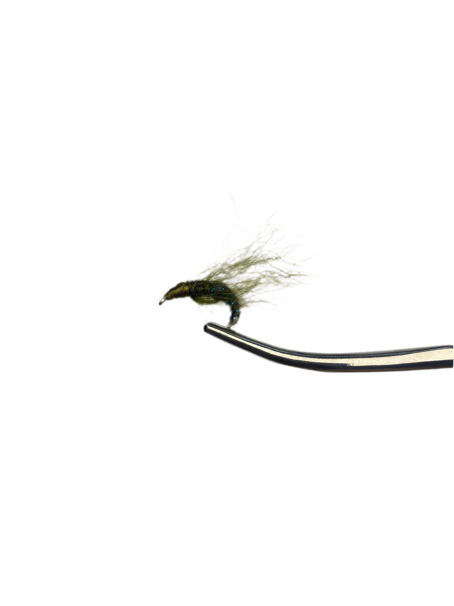 Frizzy fly