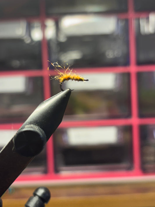 Orange mosquito