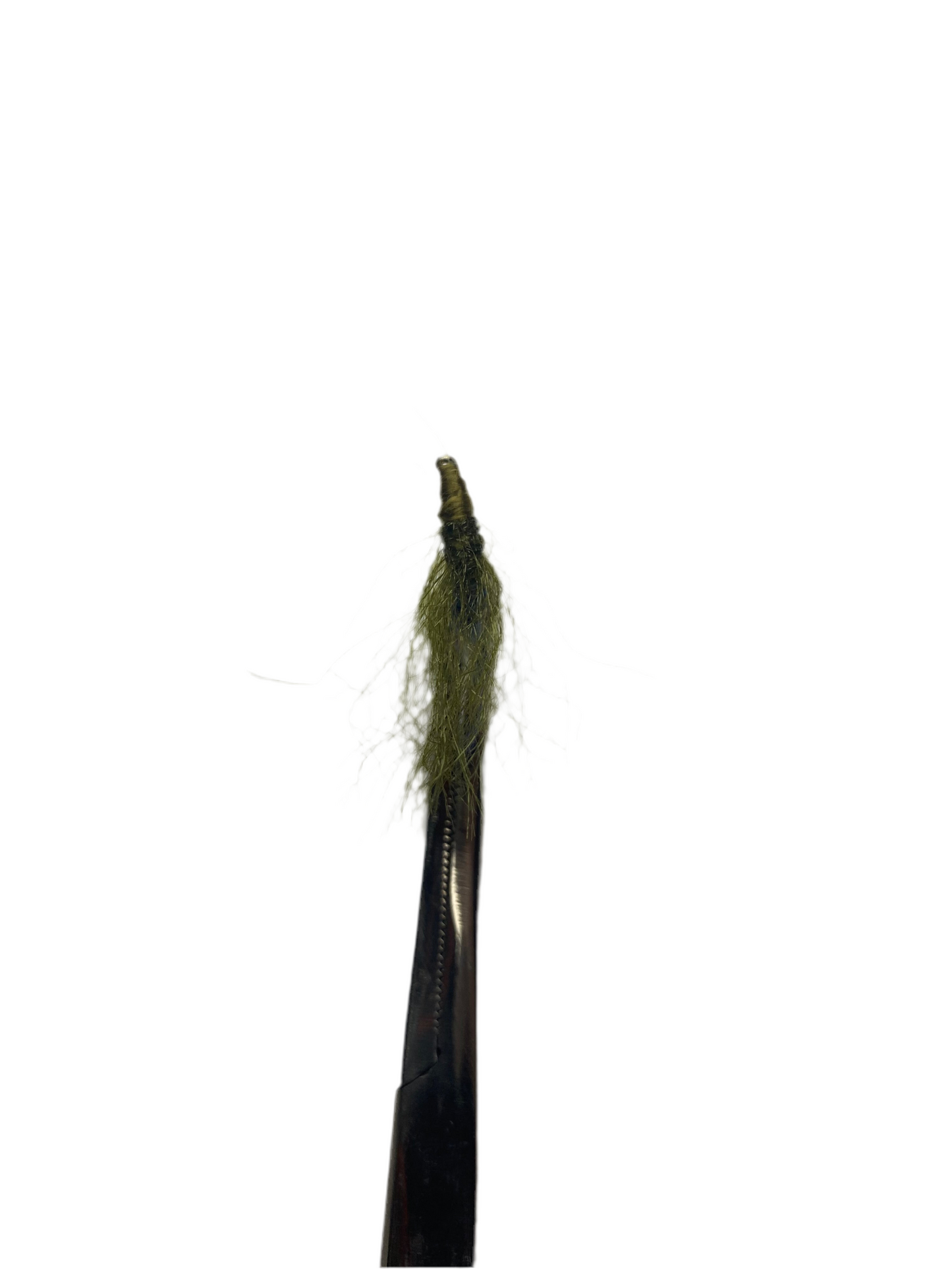 Frizzy fly